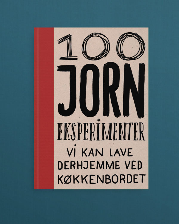 100 jorn eksperimenter 6